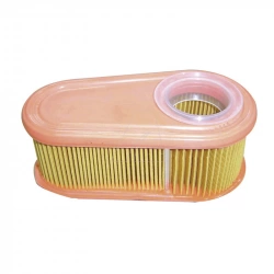 Filtre à air compatible Briggs & Stratton, remplace 795066