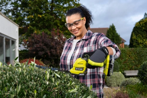 Sculpte végétaux RYOBI avec batterie 2 Ah RY18GSA