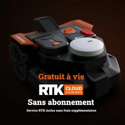 Vignette n°4