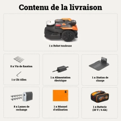 Vignette n°7